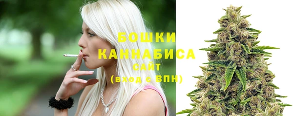 прущий лед Горняк