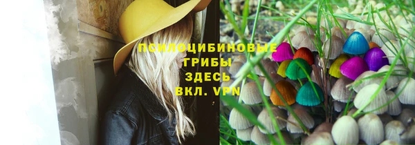 тгк Вяземский