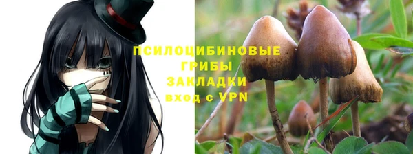 бутират Горнозаводск