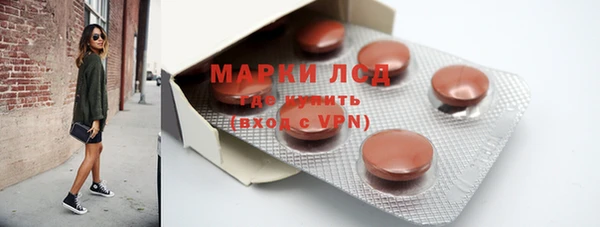 ГАЛЛЮЦИНОГЕННЫЕ ГРИБЫ Козловка
