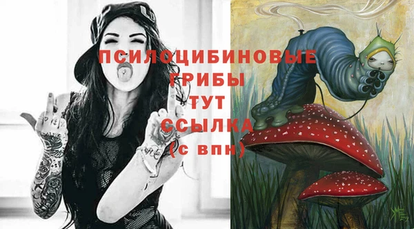 ешки Фурманов