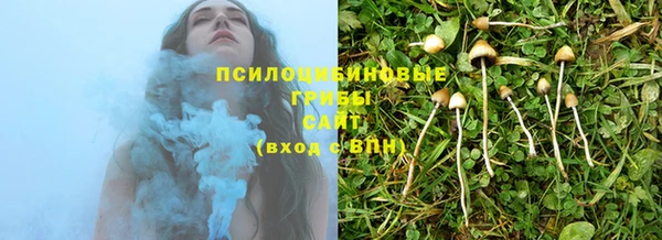 гидра Видное