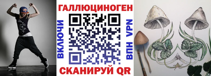 Псилоцибиновые грибы Psilocybine cubensis  Вышний Волочёк 